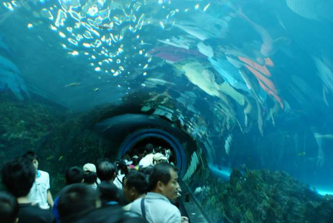 0064_Bild 0045_r.jpg