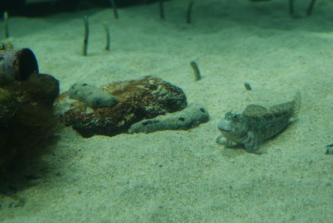 0067_Bild 0047_r.jpg