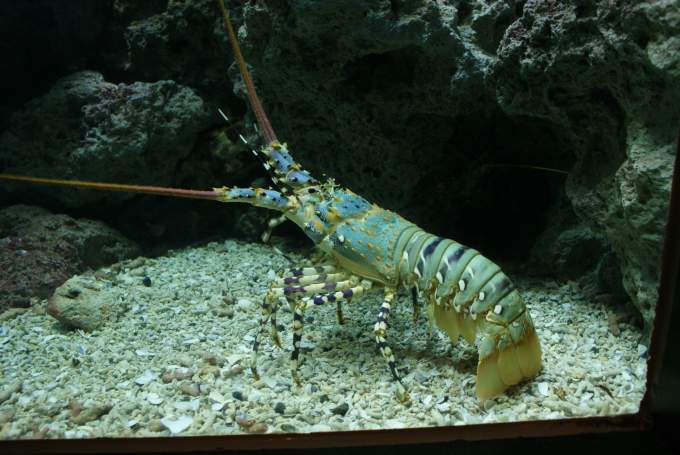 0071_Bild 0049_r.jpg