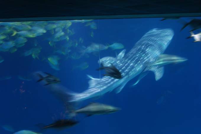 0073_Bild 0051_r.jpg