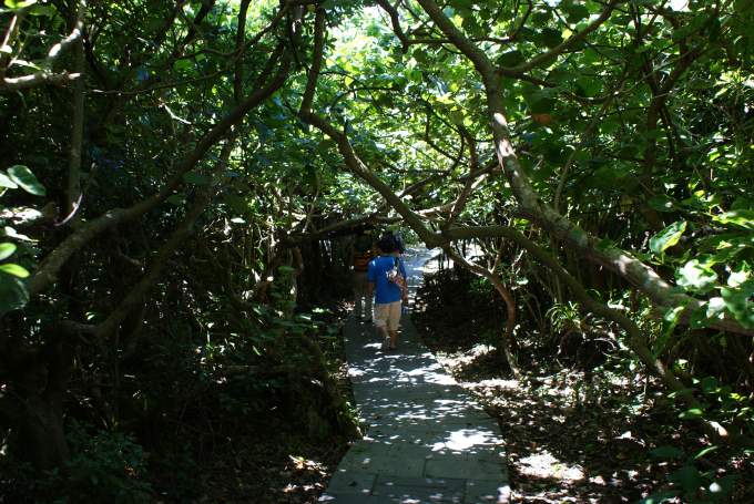 0116_Bild 0073_r.jpg